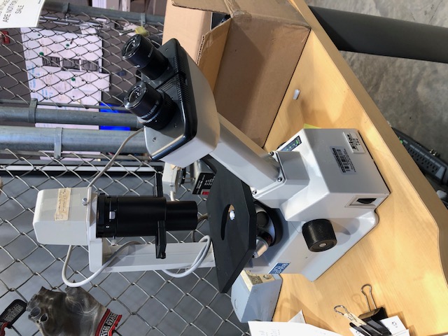 Nikon TMS Inverted Phase Contrast Microscope(304820)