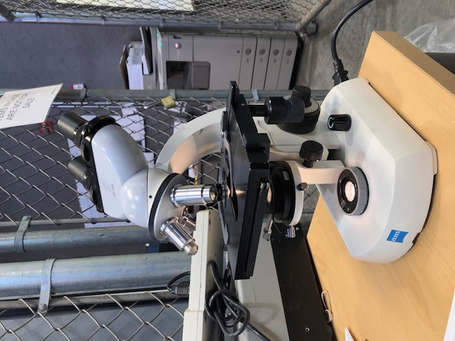 Zeiss Standard 14 Lab Microscope (304785)