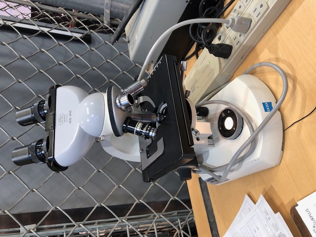 Zeiss Standard 14 Lab Microscope (304776)