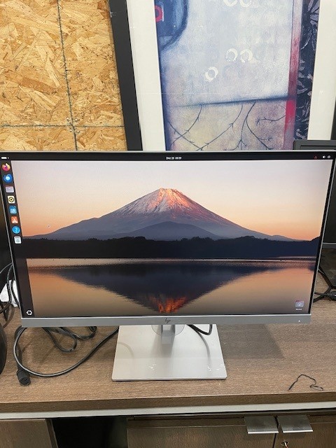 HP EliteDisplay 23.8" Monitor (305811)