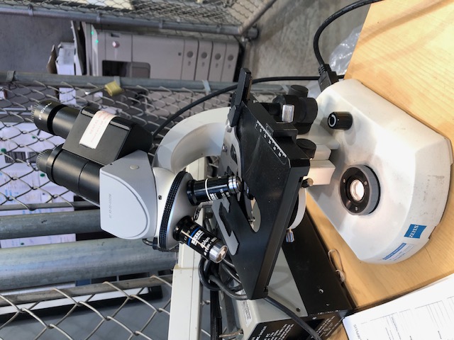 Zeiss Standard 14 Lab Microscope (304789)