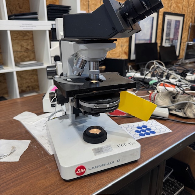 Leitz Laborlux D Microscope (304988)