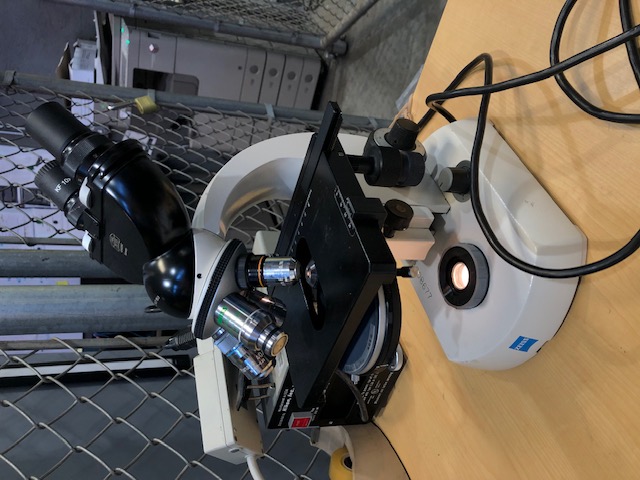 Zeiss Standard 14 Lab Microscope (304781)