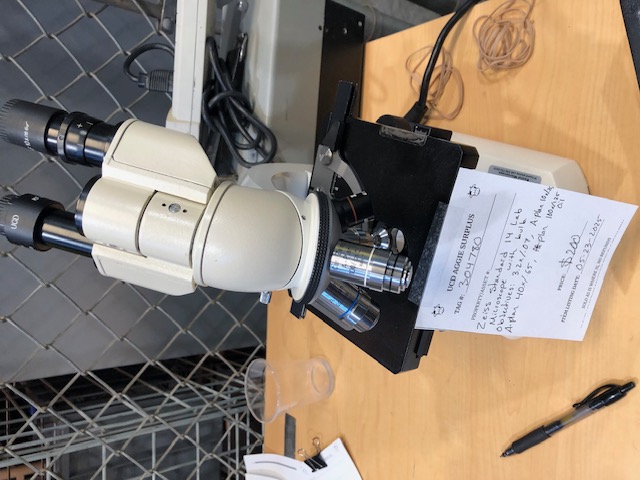 Zeiss Standard 14 Lab Microscope (304780)