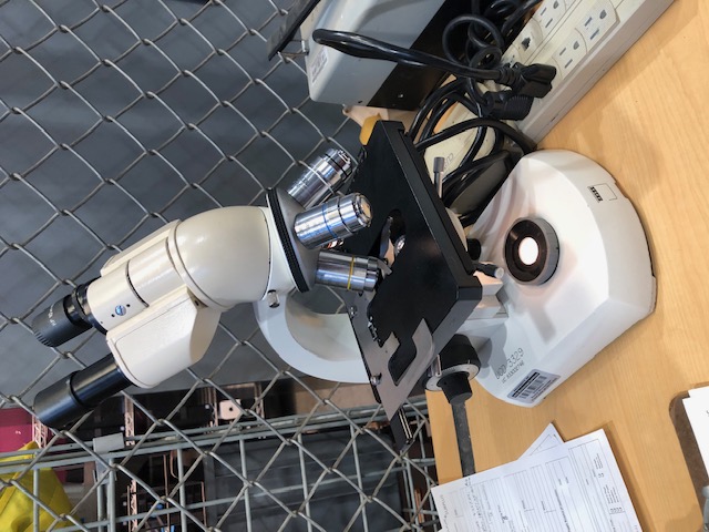 Zeiss Standard 14 Lab Microscope (304773)