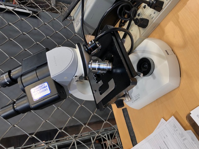 Zeiss Standard 14 Lab Microscope (304774)