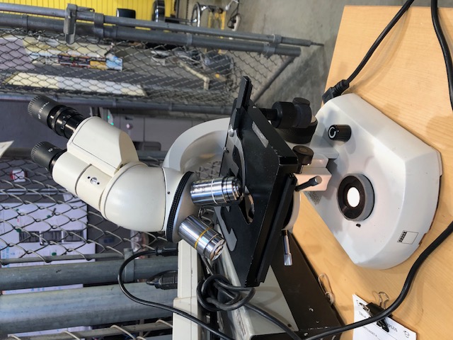 Zeiss Standard 14 Lab Microscope (304786)