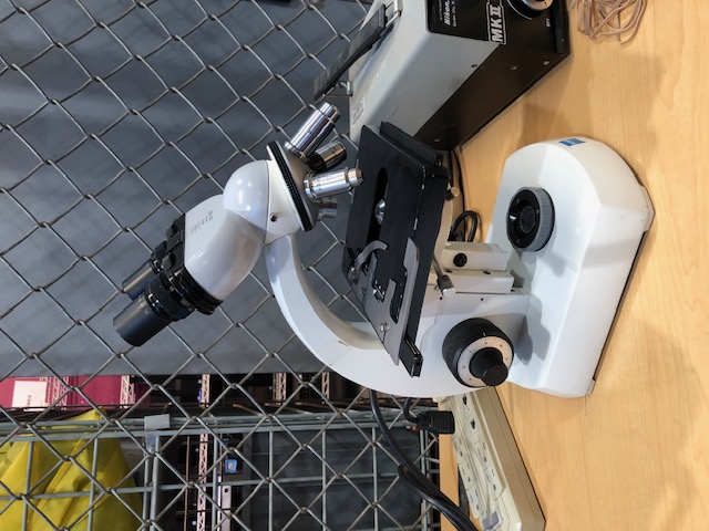Zeiss Standard 14 Lab Microscope (304770)
