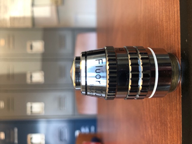 Nikon Fluor 100x/1.30 Oil 160/0.17 1.3-0.8 Objective (305329)
