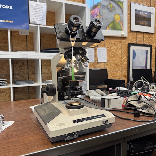 Olympus BH-2 Binocular Microscope (305086)