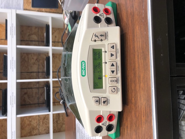 BioRad PowerPac HC (304618)
