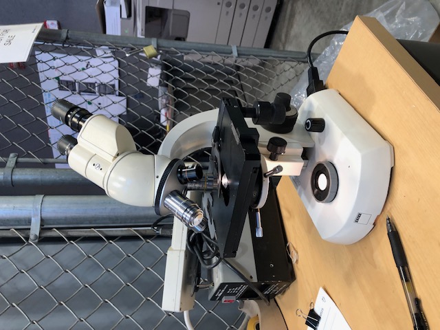 Zeiss Standard 14 Lab Microscope (304784)