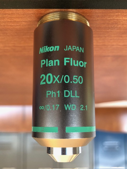 Nikon Plan Fluor 20x/0.50 Ph1 DLL ∞/0.17 WD 2.1 Phase Contrast Objective (305336)