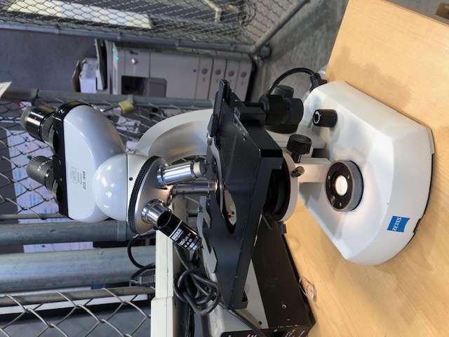 Zeiss Standard 14 Lab Microscope (304783)
