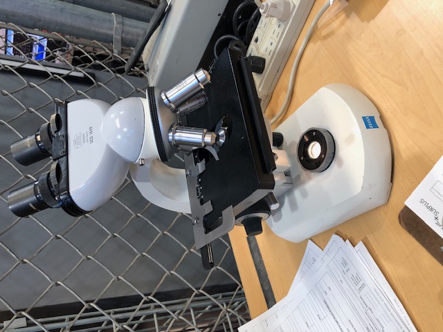 Zeiss Standard 14 Lab Microscope (304778)