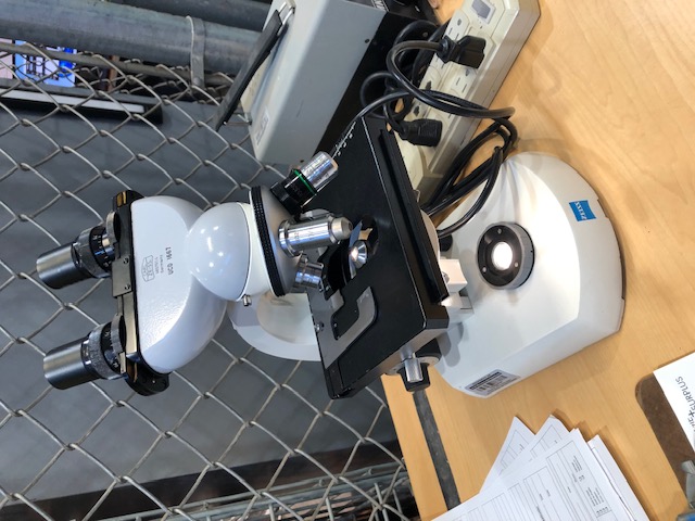 Zeiss Standard 14 Lab Microscope (304777)