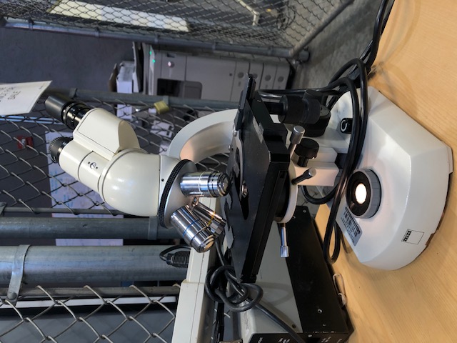Zeiss Standard 14 Lab Microscope (304788)