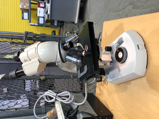 Zeiss Standard 14 Lab Microscope (304779)