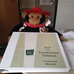 PCIT Treatment Manual